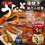 三河一色産 うなぎ蒲焼き大3尾+銀たら照り焼き3切れ 1切れ6…