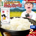 定期便9ヶ月 めんこいな 2kg