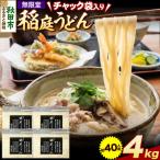無限堂 稲庭うどん チャック袋入り 4kg
