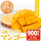 完熟アップルマンゴー 紅 約900g