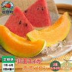 旬のフルーツ定期便<7月下旬 >