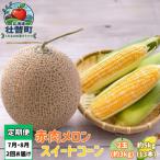 旬のフルーツ 野菜定期便<7月下旬