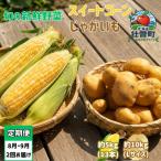 旬の野菜定期便<8月上旬 >SBTN013