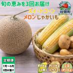 旬のフルーツ 野菜定期便<7月 8月