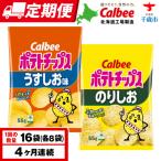 カルビーポテトチップス 2種セット うすしお