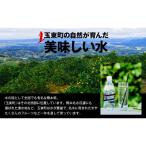強炭酸水 500ml×48本