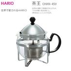 HARIO ティーポット 茶王 4人用 シルバー