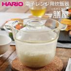 HARIO 電子レンジ用炊飯器 一膳屋 炊飯器