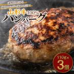 山形牛100%ハンバーグ 110g×3個