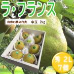 山形特産ラフランス 特秀2L 7個
