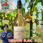 YAMANOBE BLANC 2023 ヤマノベブラン