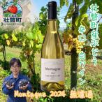 Montagne2024無濾過 モンターニュ