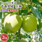 2026年11月~ ぐんま名月 約2kg