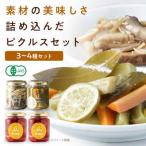 ピクルスセット 4個入り