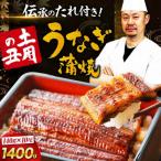 うなぎ 冷蔵 10尾セット 2尾×5箱