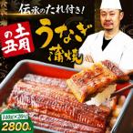 うなぎ 冷蔵 20尾セット 2尾×10箱