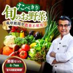 野菜 6から7種 単身 二人暮らし用セット
