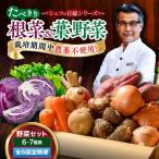 根菜×葉野菜 6から7種 単身 二人暮らし用セット
