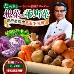 根菜×葉野菜 6から7種 単身 二人暮らし用セット