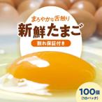 平飼い 卵 10パック