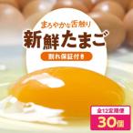 卵 定期便 3パック