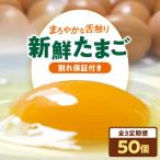 たまご 定期便 5パック