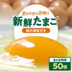 たまご 定期便 5パック