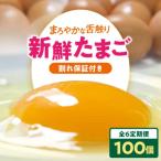 たまご 定期便 10パック