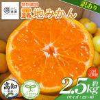 ふじ農園の露地みかん 訳あり品 2.5kg