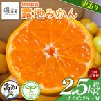 ふじ農園の露地みかん 訳あり品 2.5kg