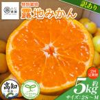 ふじ農園の露地みかん 訳あり品 5kg
