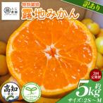 ふじ農園の露地みかん 訳あり品 5kg