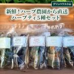新鮮 ハーブ農園から直送 ハーブティ5種セット