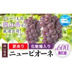 訳あり ニューピオーネ 約600g