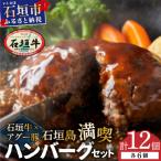 石垣牛×アグー豚 南ぬ豚 石垣島満喫ハンバーグセット 各6個