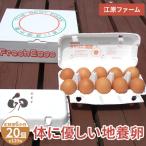 江原ファーム 体に優しい地養卵 20個