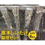 原木しいたけ栽培セット ホダ木4本入り