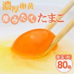 小久保ファーム 濃厚卵黄 産みたてたまご