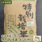 特別栽培米コシヒカリ5kg こめ コメ 米