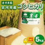 コシヒカリ5kg _AN09
