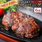 牛肉 100% 段戸山高原牛 ハンバーグ6個 100g×6