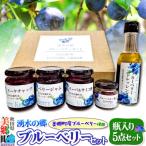 湧水の郷ブルーベリーセット 5点 01_mfd-010101