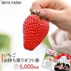 MIYA FARM いちごお持ち帰り 券 5,000円分