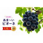 ピオーネ 2~3房 約1kg