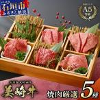 美崎牛 厳選5種 焼肉食べ比べセット 250g