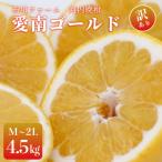 ふるさと納税 愛南町 �