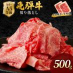 飛騨牛 切り落とし 500g