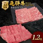 飛騨牛 BBQセット 計1.2kg