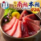 マグロ 本マグロ 南マグロ 天然 中トロ 赤身