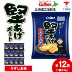 堅あげポテト 12袋入×1箱 カルビー ポテトチップス